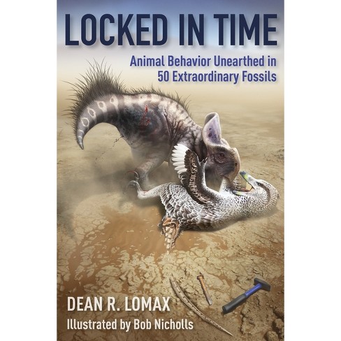 Locked in Time book